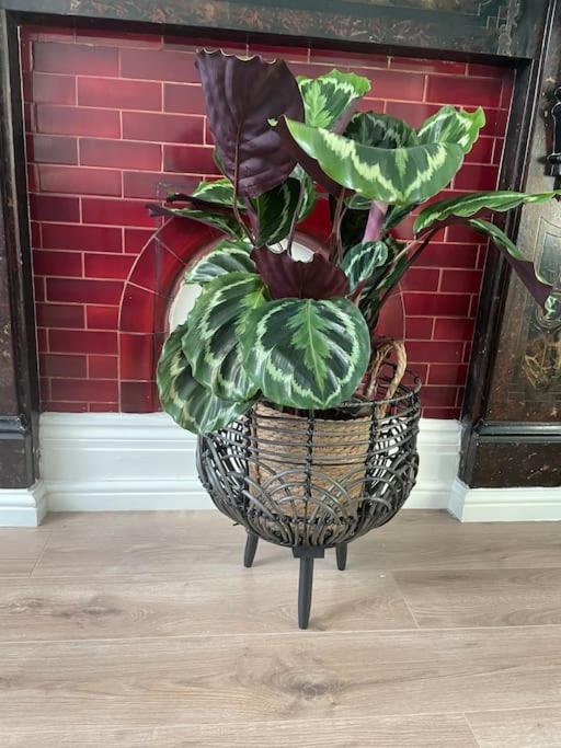 Appartement West London Stunning Garden Flat - Period Features Extérieur photo